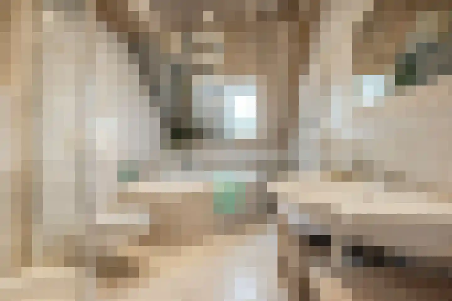 Tarweland 11 Geldrop thumbnail 30