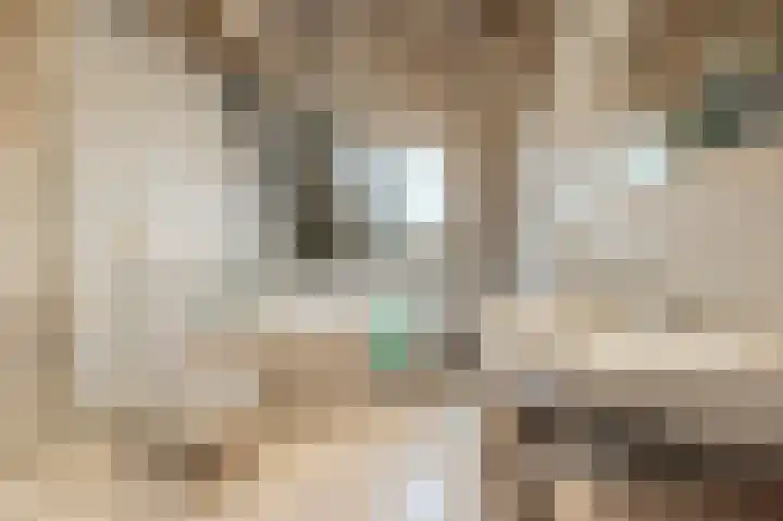 Tarweland 11 Geldrop thumbnail 30