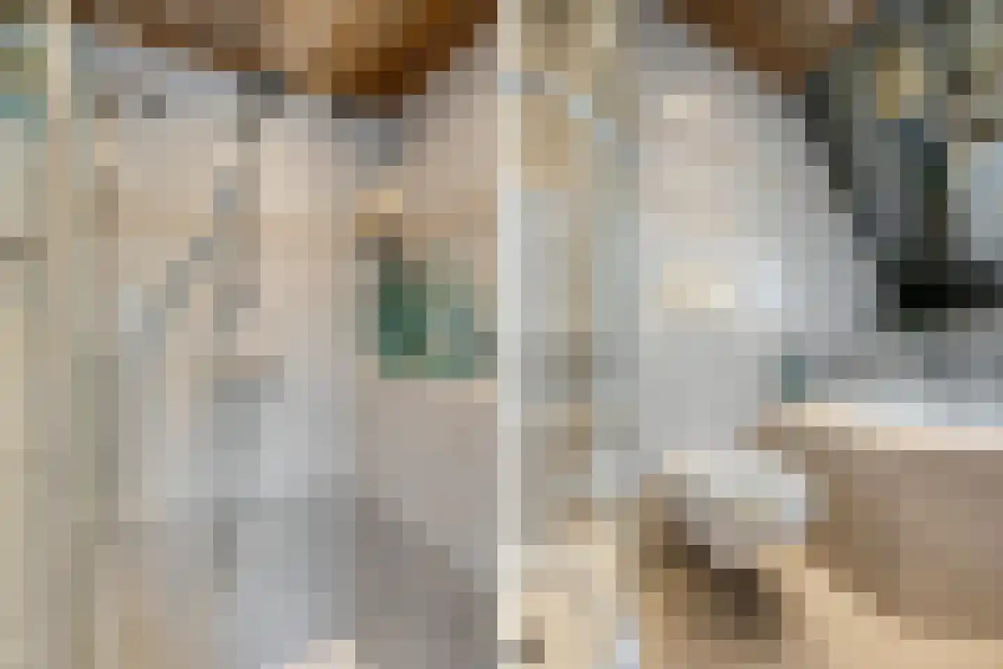 Tarweland 11 Geldrop thumbnail 33