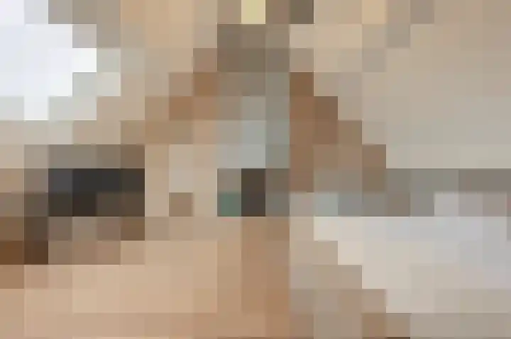 Tarweland 11 Geldrop thumbnail 36