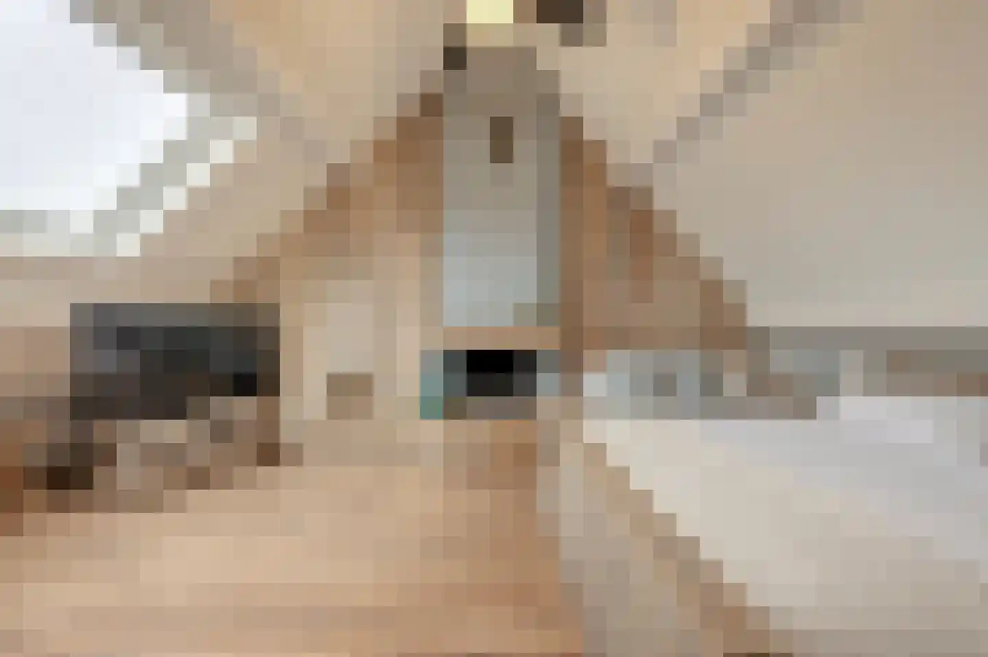 Tarweland 11 Geldrop thumbnail 36