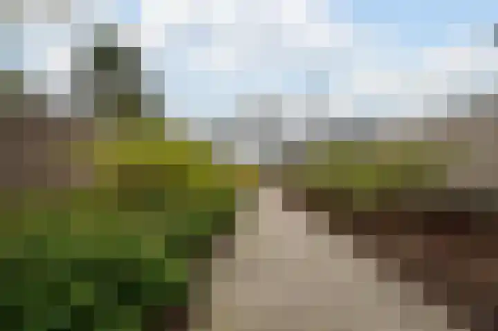 Tarweland 11 Geldrop thumbnail 45