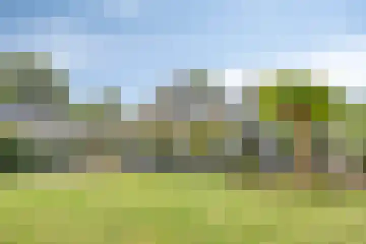Tarweland 11 Geldrop thumbnail 46