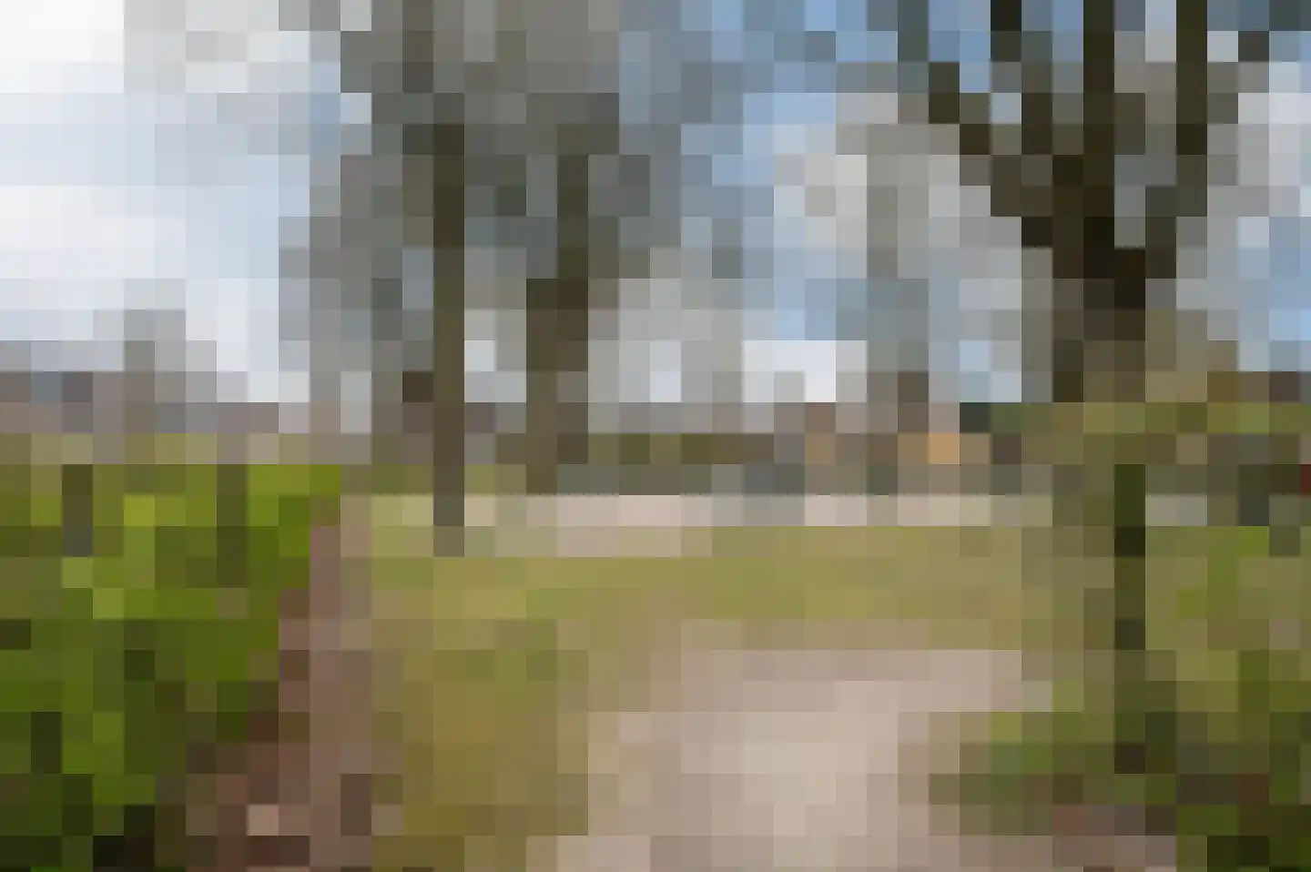 Tarweland 11 Geldrop thumbnail 46