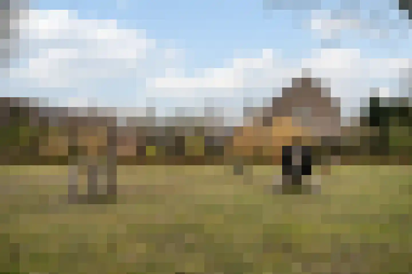 Tarweland 11 Geldrop thumbnail 47