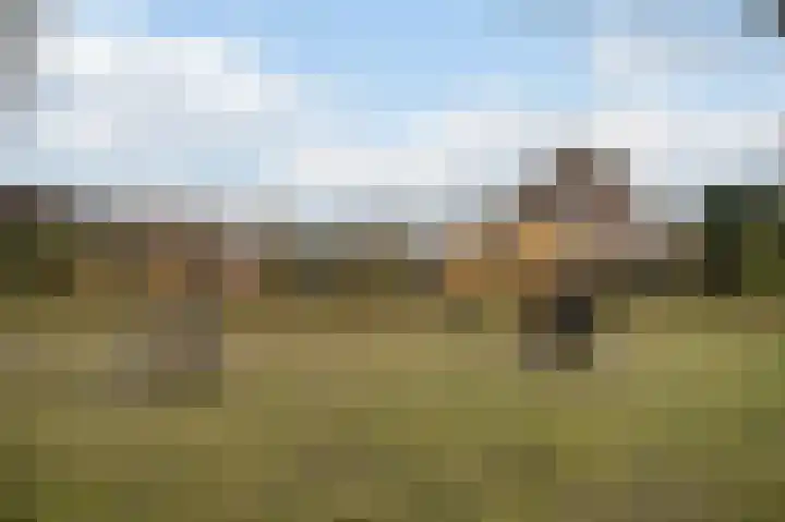Tarweland 11 Geldrop thumbnail 47