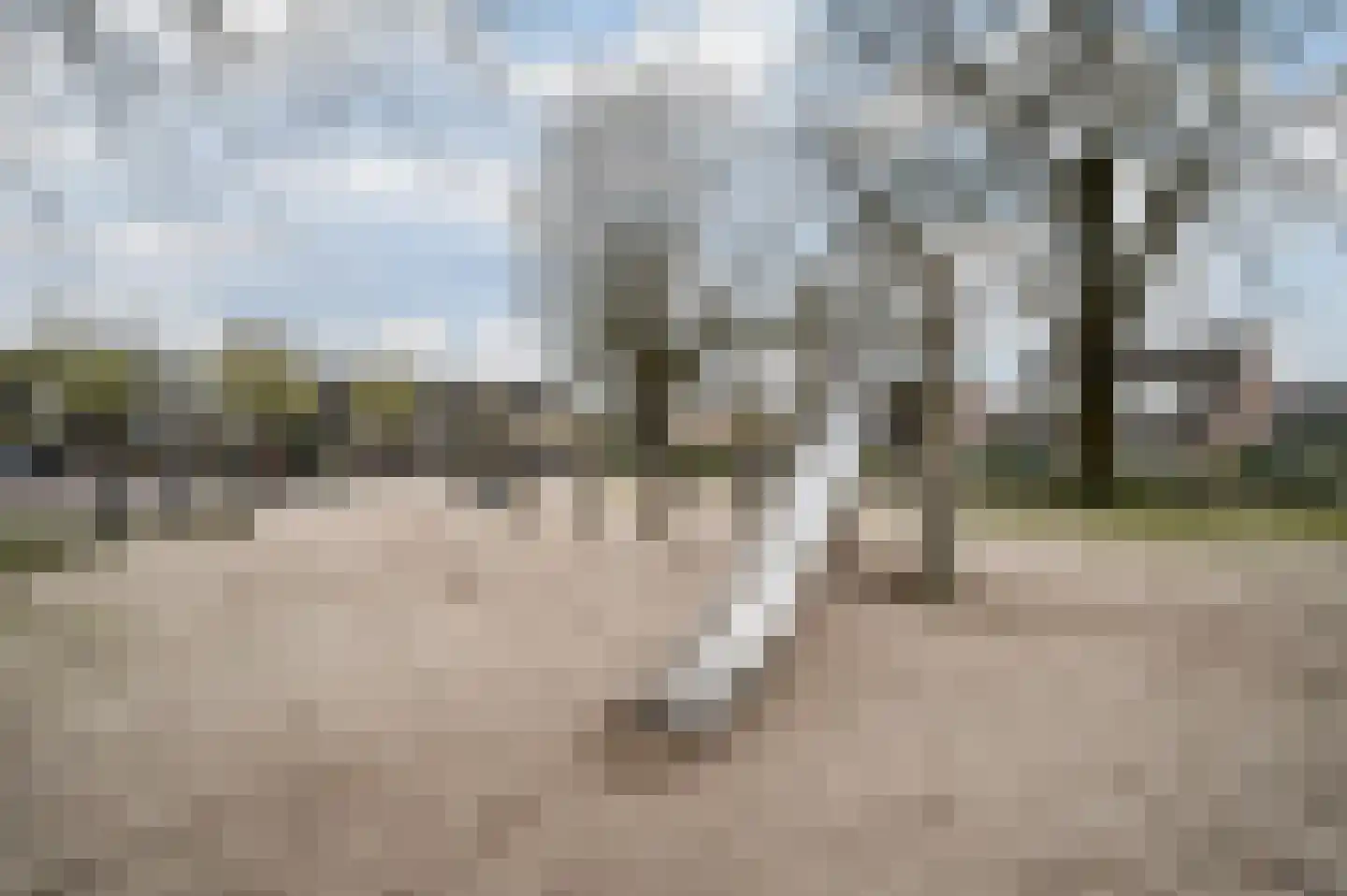 Tarweland 11 Geldrop thumbnail 48