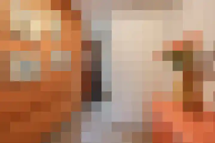 Tarweland 11 Geldrop thumbnail 5