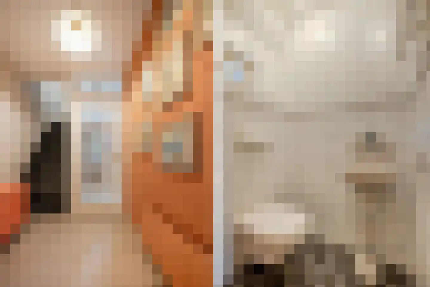 Tarweland 11 Geldrop thumbnail 6