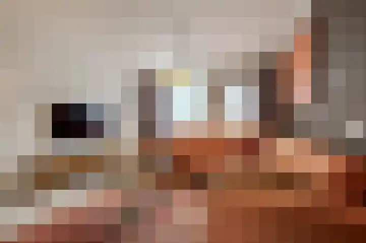Tarweland 11 Geldrop thumbnail 9