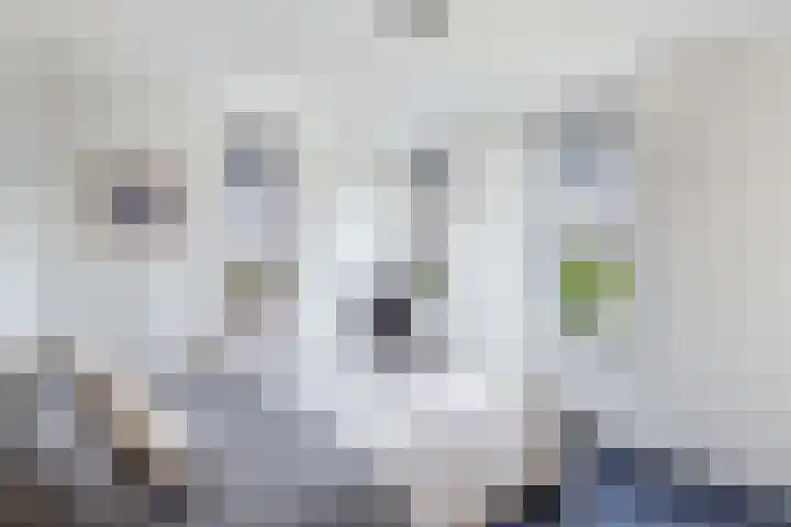 Tarweland 16 Drachten thumbnail 33