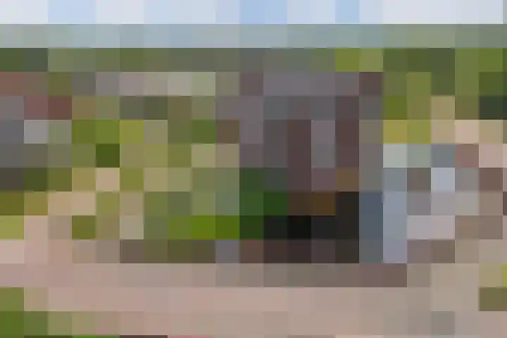 Tarweland 16 Drachten thumbnail 38