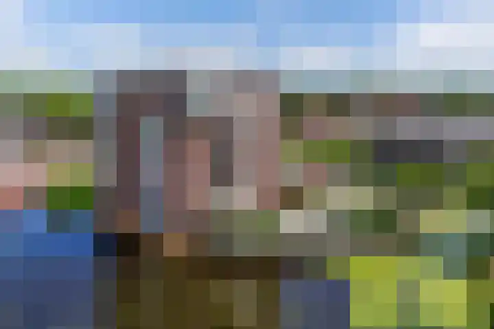 Tarweland 16 Drachten thumbnail 5