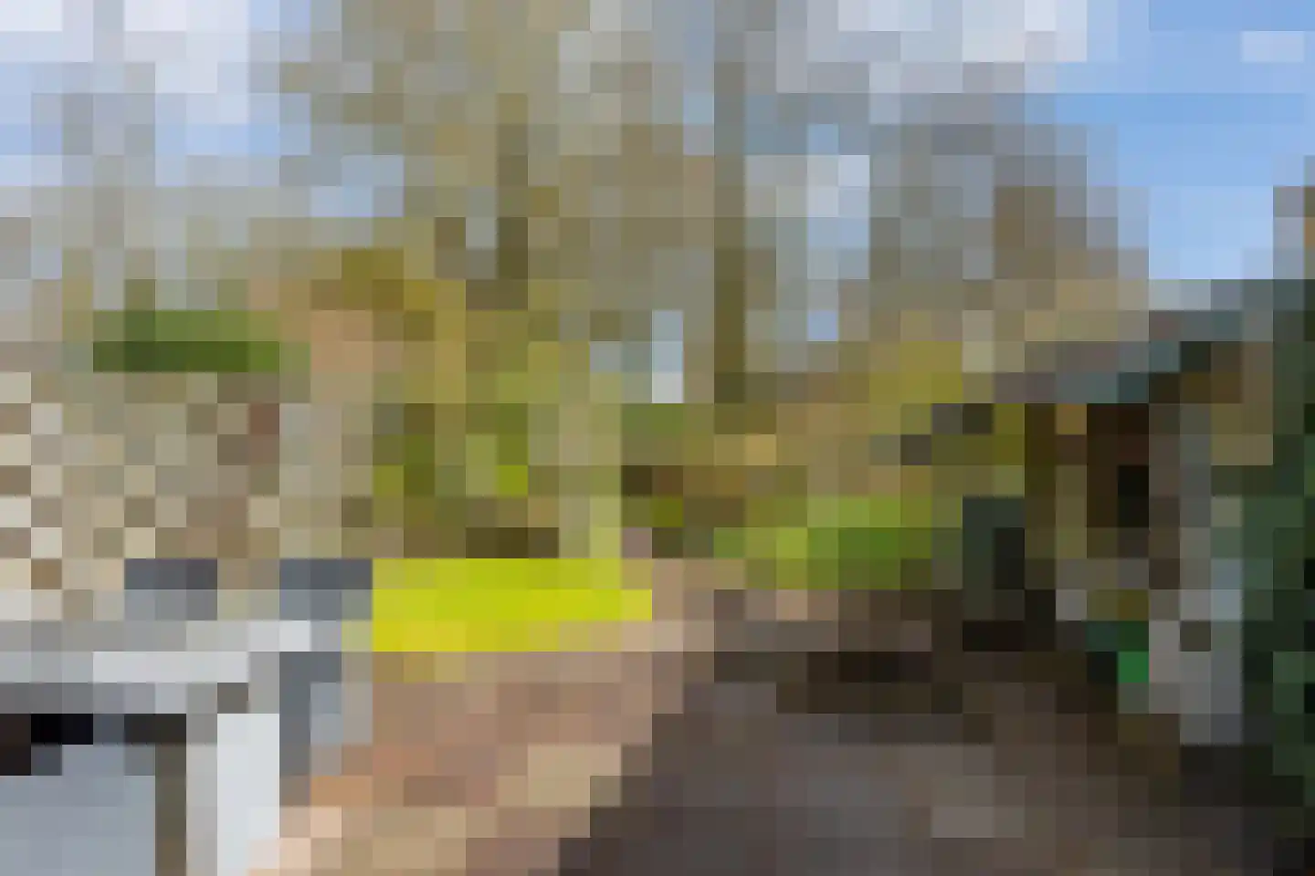 Tarweland 19 Leusden thumbnail 11