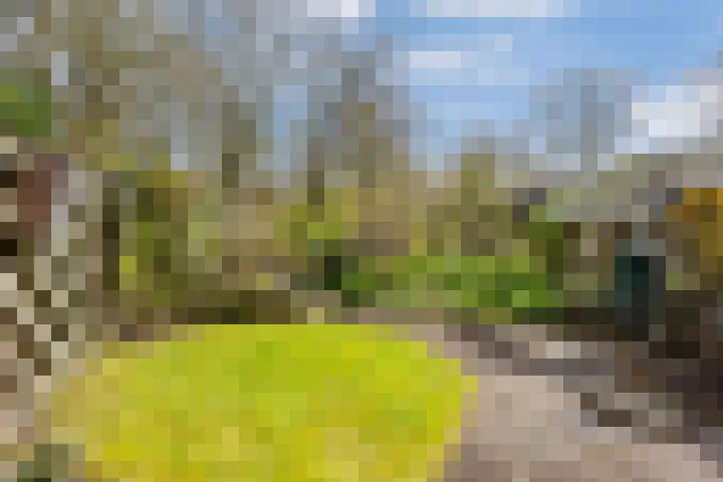 Tarweland 19 Leusden thumbnail 12