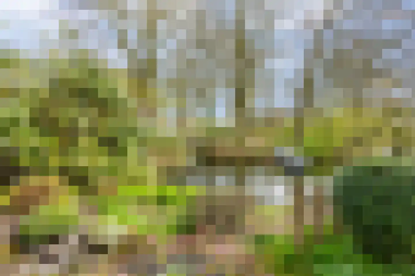 Tarweland 19 Leusden thumbnail 13