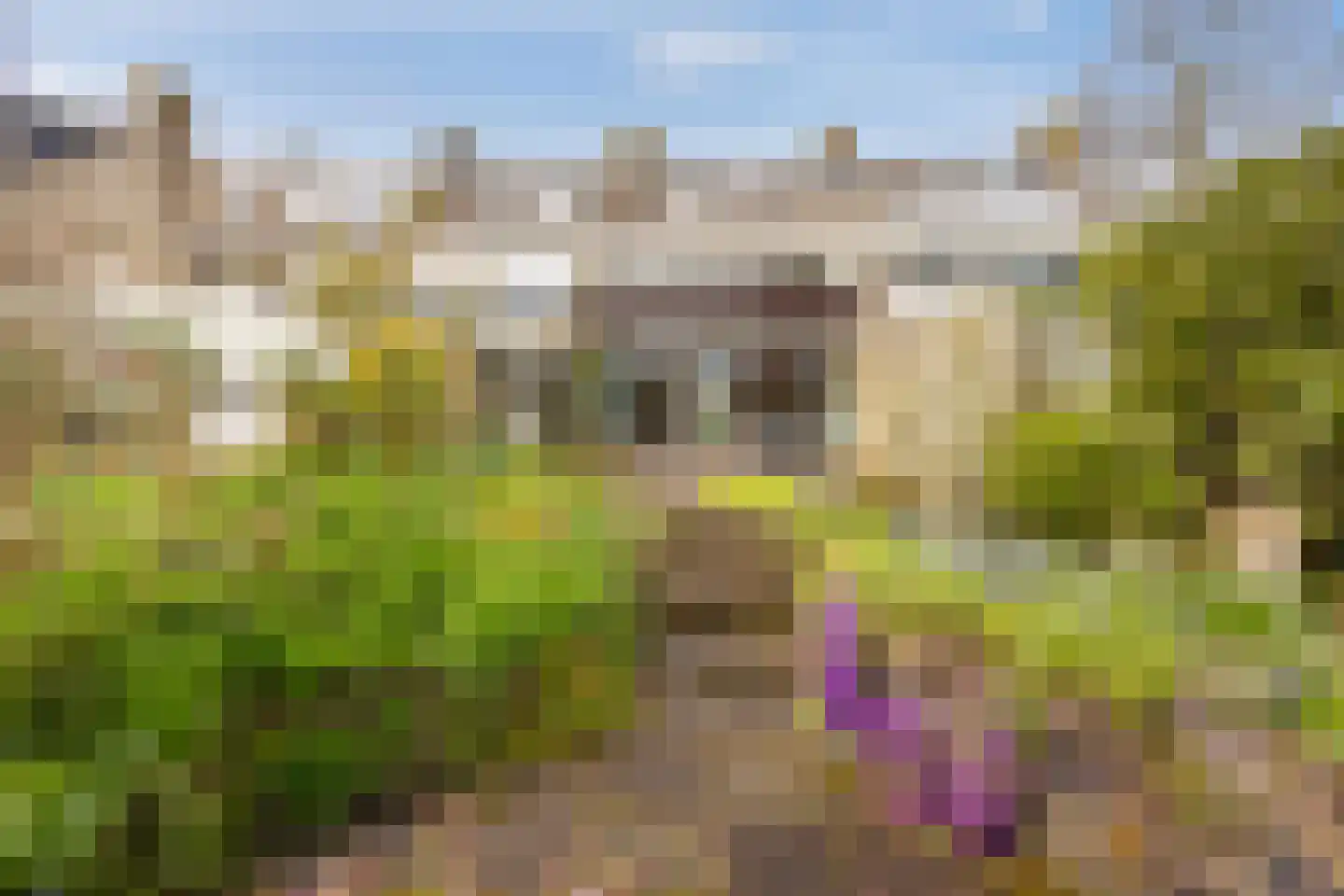 Tarweland 19 Leusden thumbnail 14