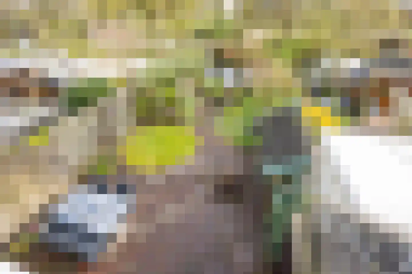 Tarweland 19 Leusden thumbnail 23