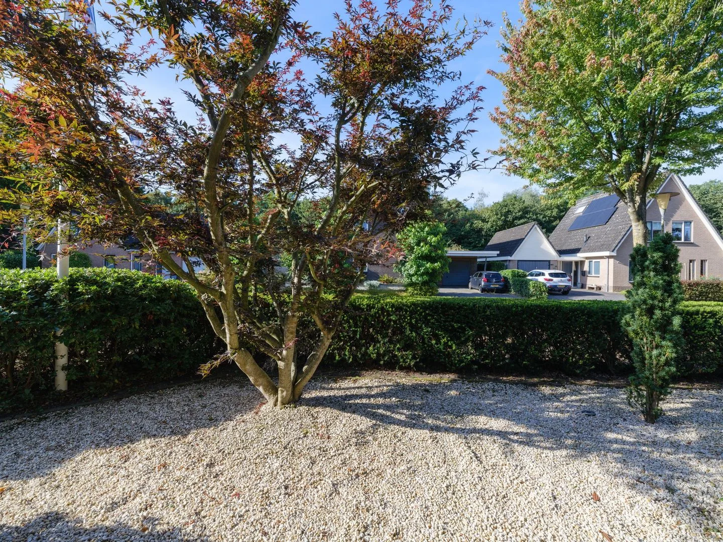 Tarweland 45 Drachten thumbnail 55