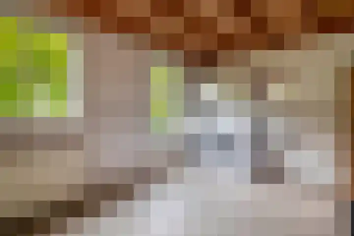 Tarweland 76 Drachten thumbnail 23