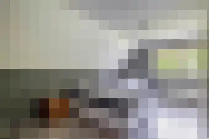 Tarweland 76 Drachten thumbnail 27