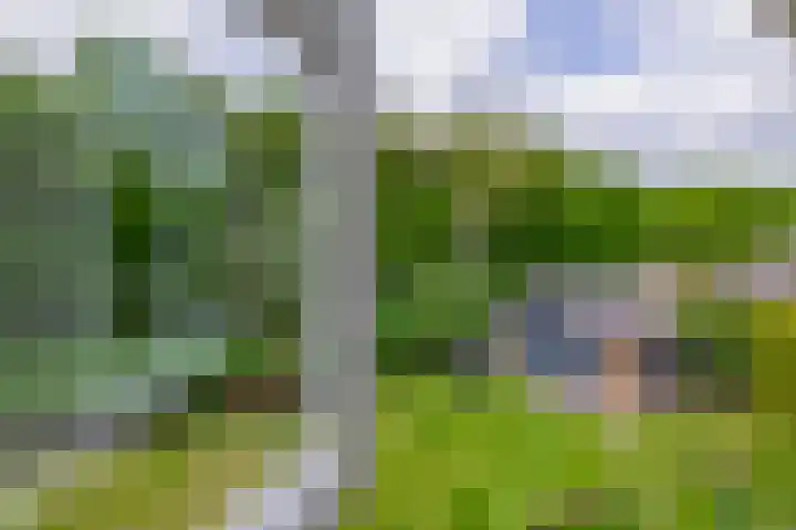 Tarweland 76 Drachten thumbnail 28