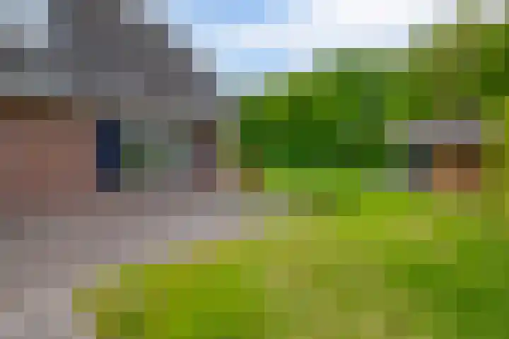 Tarweland 76 Drachten thumbnail 40