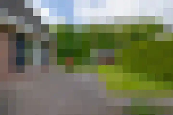 Tarweland 76 Drachten thumbnail 41