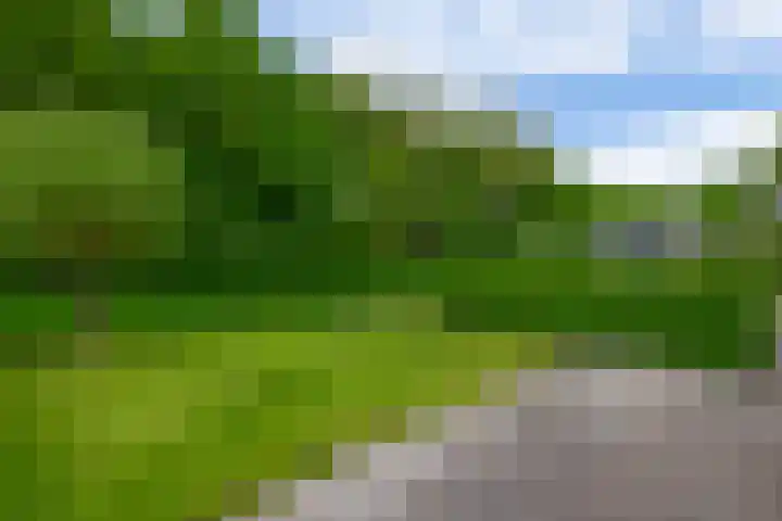 Tarweland 76 Drachten thumbnail 42