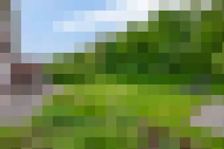 Tarweland 76 Drachten thumbnail 43