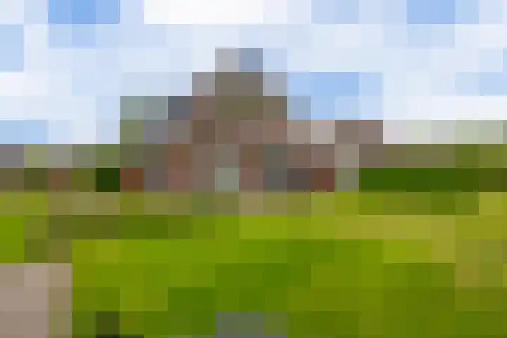 Tarweland 76 Drachten thumbnail 44