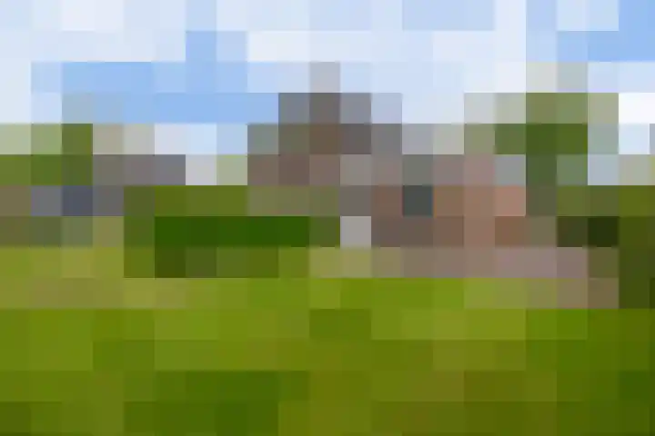Tarweland 76 Drachten thumbnail 45