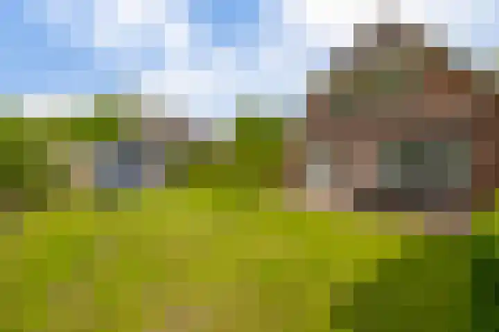 Tarweland 76 Drachten thumbnail 46