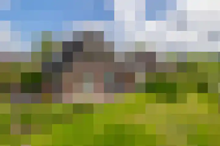 Tarweland 76 Drachten thumbnail 47