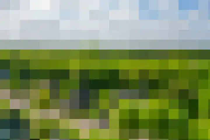 Tarweland 76 Drachten thumbnail 48
