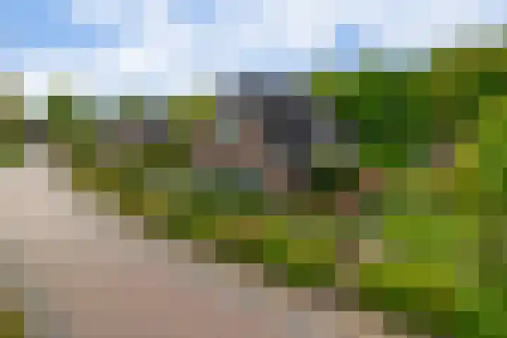 Tarweland 76 Drachten thumbnail 5