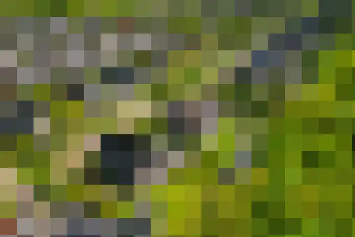 Tarweland 76 Drachten thumbnail 52