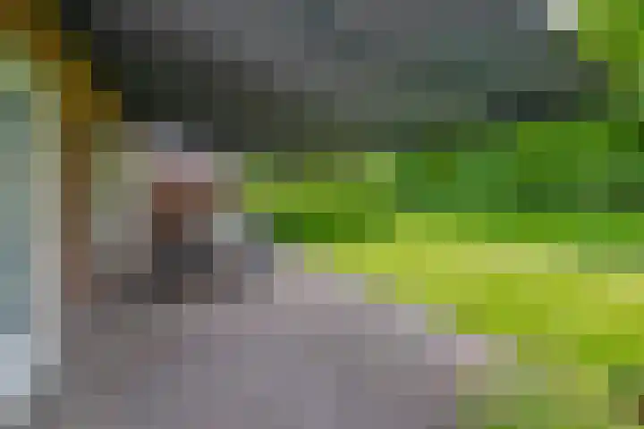 Tarweland 76 Drachten thumbnail 9
