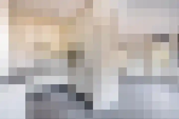 Tarweland 8 Drachten thumbnail 13