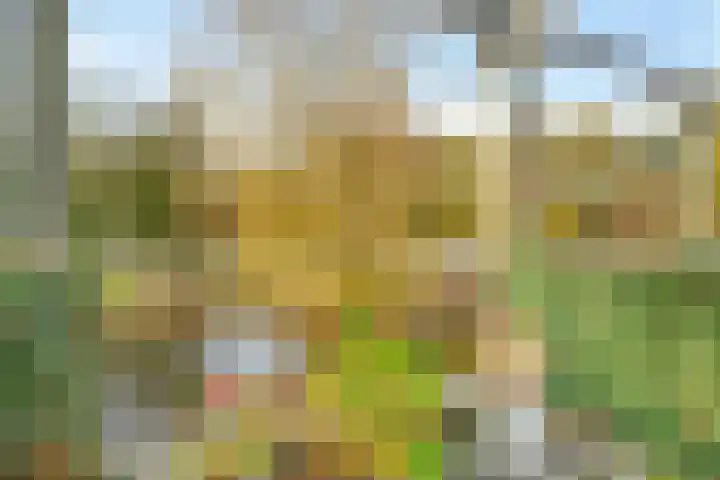 Tarweland 8 Drachten thumbnail 28