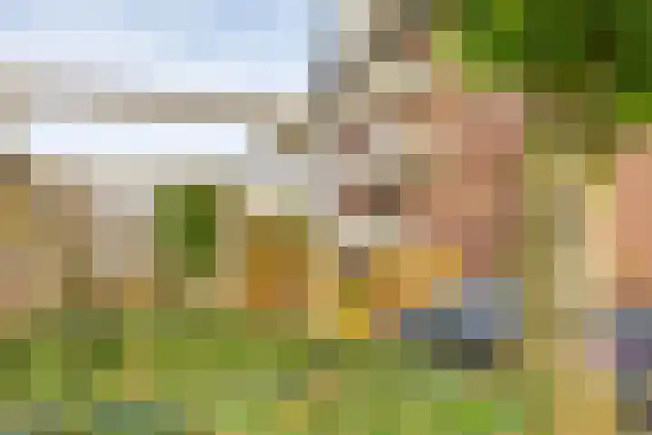 Tarweland 8 Drachten thumbnail 29