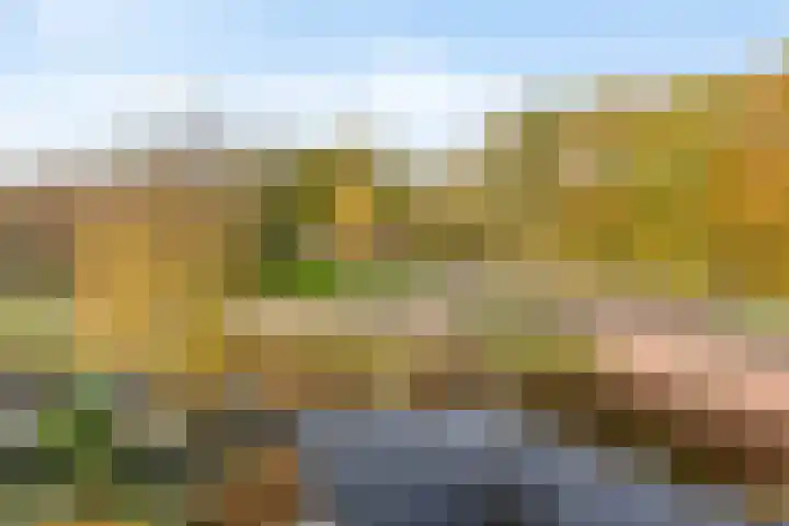 Tarweland 8 Drachten thumbnail 30