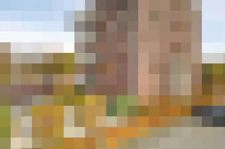 Tarweland 8 Drachten thumbnail 31
