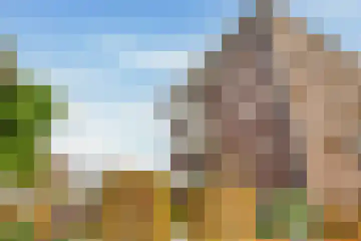 Tarweland 8 Drachten thumbnail 33