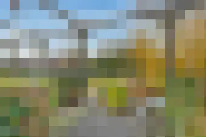 Tarweland 8 Drachten thumbnail 4