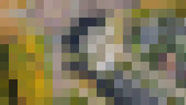 Tarweland 8 Drachten thumbnail 43