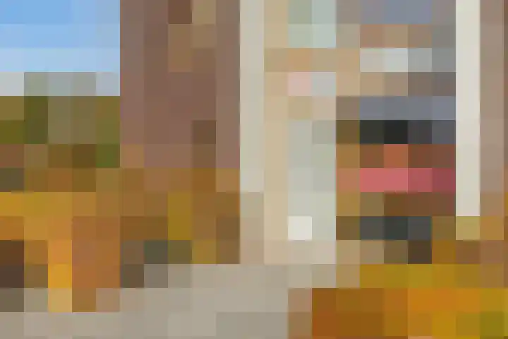 Tarweland 8 Drachten thumbnail 6