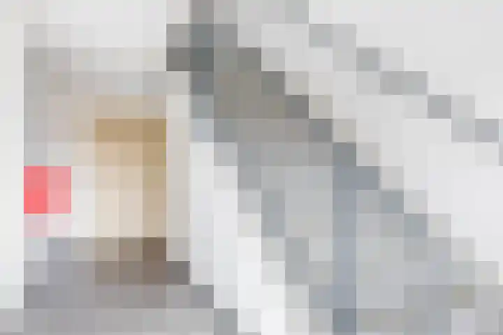 Tarweland 8 Drachten thumbnail 7
