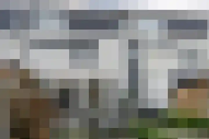 Tarweplaat 17 Bergen op Zoom thumbnail 22