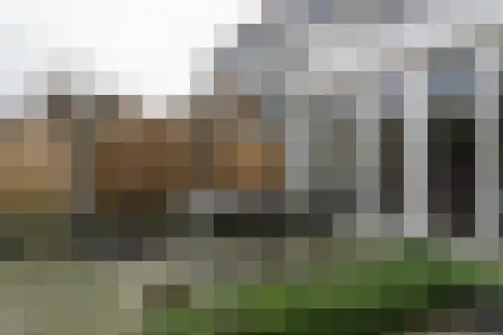 Tarweplaat 17 Bergen op Zoom thumbnail 23